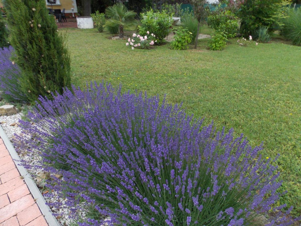 Eden Villa Apartmanhaz Balatonfüred Exterior foto